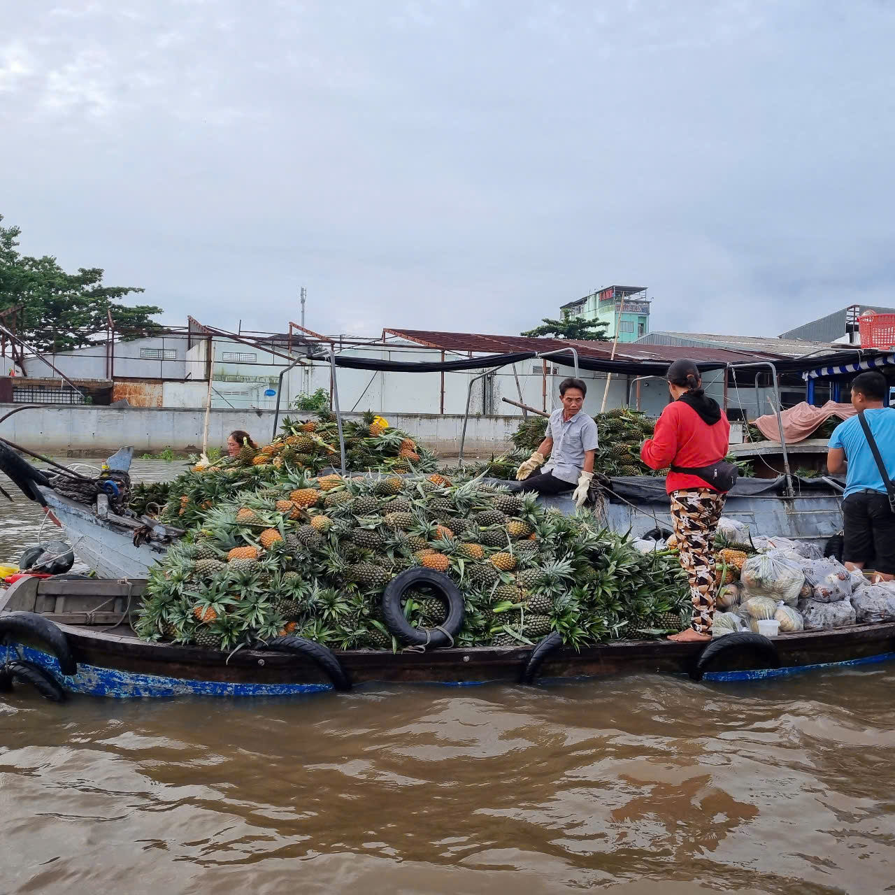 Day trip from Can Tho city small boat Trip